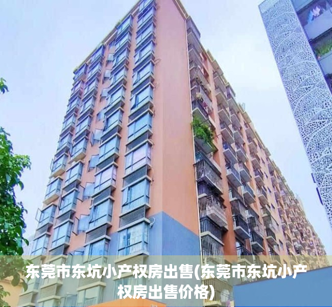 东莞市东坑小产权房出售(东莞市东坑小产权房出售价格)