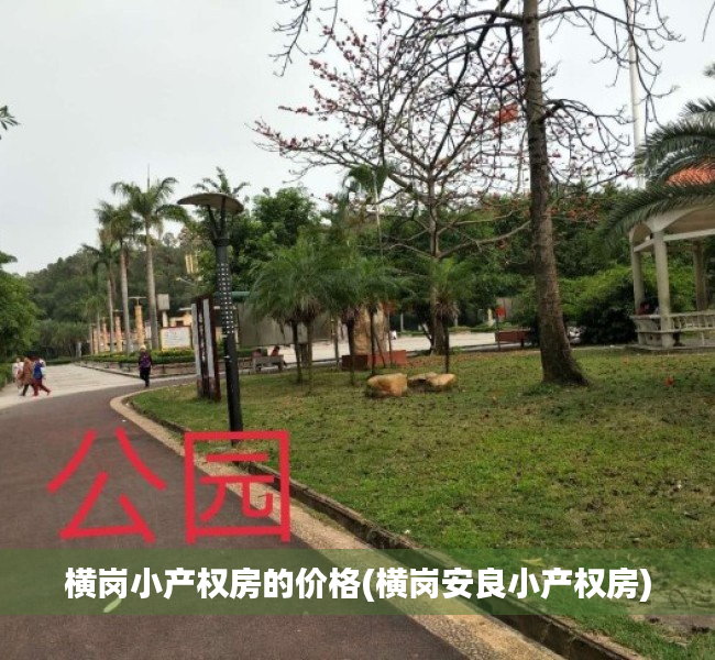 横岗小产权房的价格(横岗安良小产权房)