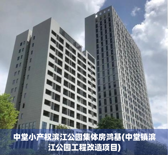 中堂小产权滨江公园集体房鸿基(中堂镇滨江公园工程改造项目)