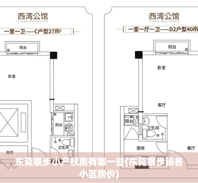 东莞寮步小产权房有哪一些(东莞寮步镇各小区房价)