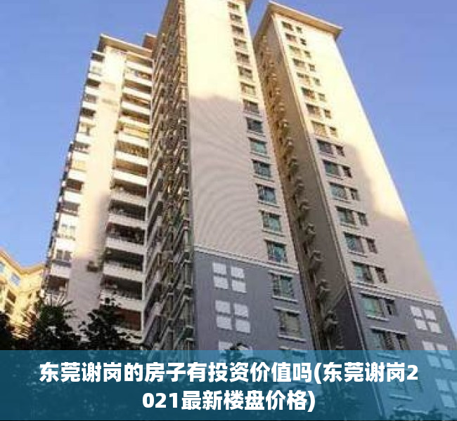 东莞谢岗的房子有投资价值吗(东莞谢岗2021最新楼盘价格)