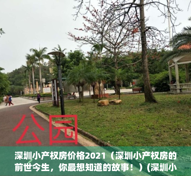 深圳小产权房价格2021（深圳小产权房的前世今生，你最想知道的故事！）(深圳小产权房大全)