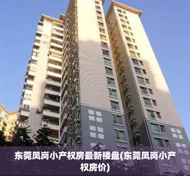 东莞凤岗小产权房最新楼盘(东莞凤岗小产权房价)