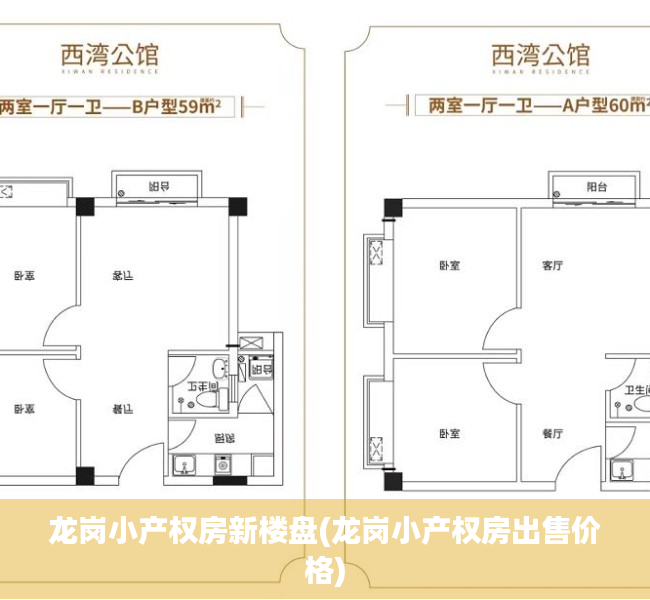 龙岗小产权房新楼盘(龙岗小产权房出售价格)