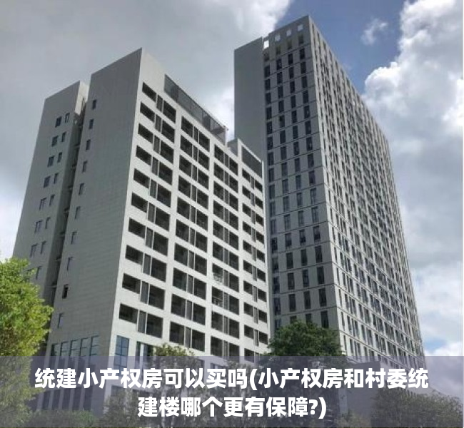 统建小产权房可以买吗(小产权房和村委统建楼哪个更有保障?)