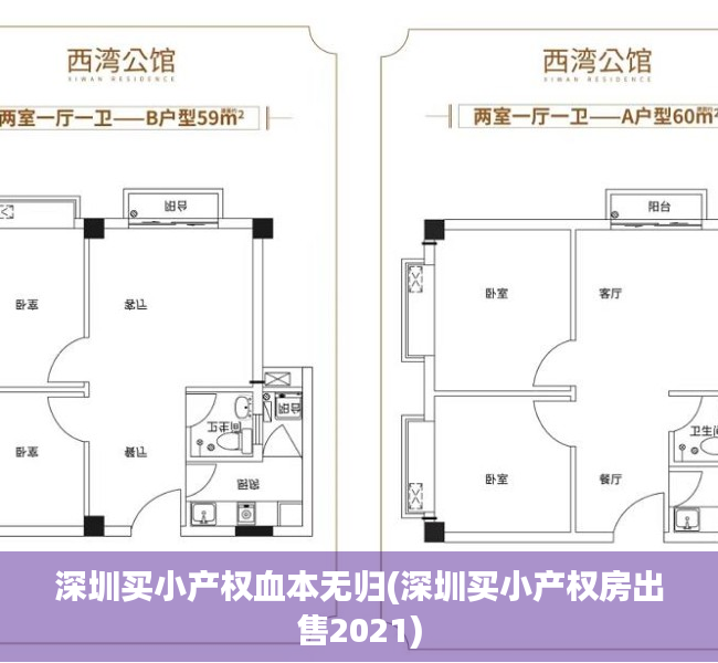 深圳买小产权血本无归(深圳买小产权房出售2021)