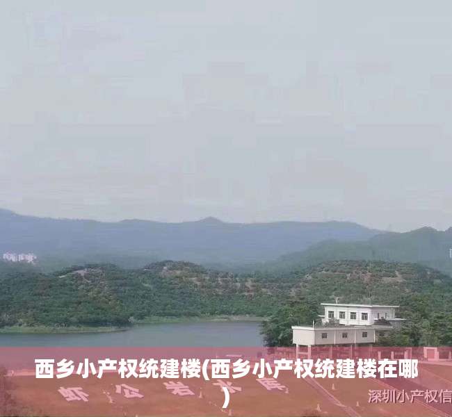 西乡小产权统建楼(西乡小产权统建楼在哪)