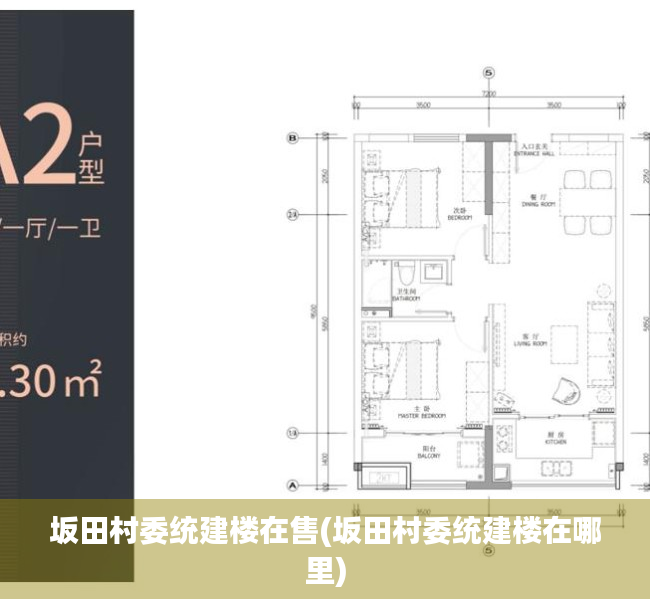 坂田村委统建楼在售(坂田村委统建楼在哪里)