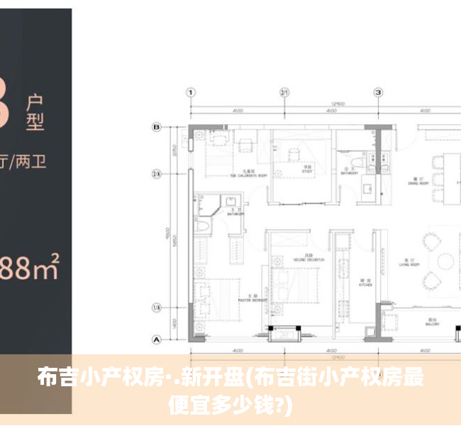 布吉小产权房·.新开盘(布吉街小产权房最便宜多少钱?)