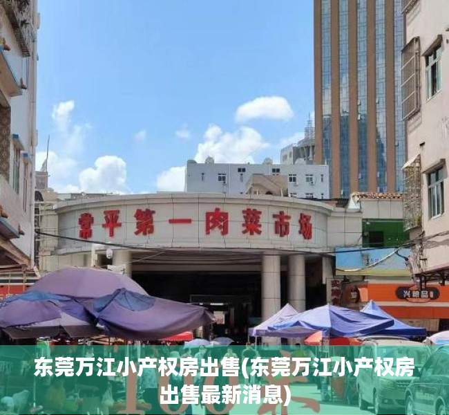 东莞万江小产权房出售(东莞万江小产权房出售最新消息)