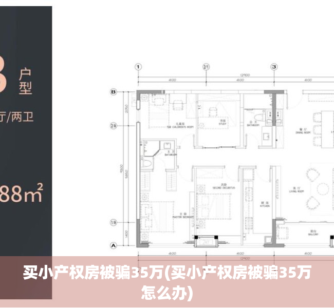 买小产权房被骗35万(买小产权房被骗35万怎么办)