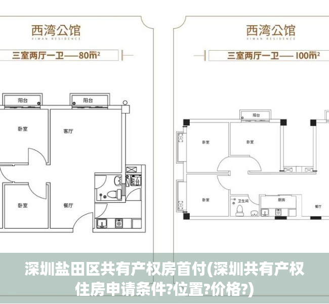 深圳盐田区共有产权房首付(深圳共有产权住房申请条件?位置?价格?)