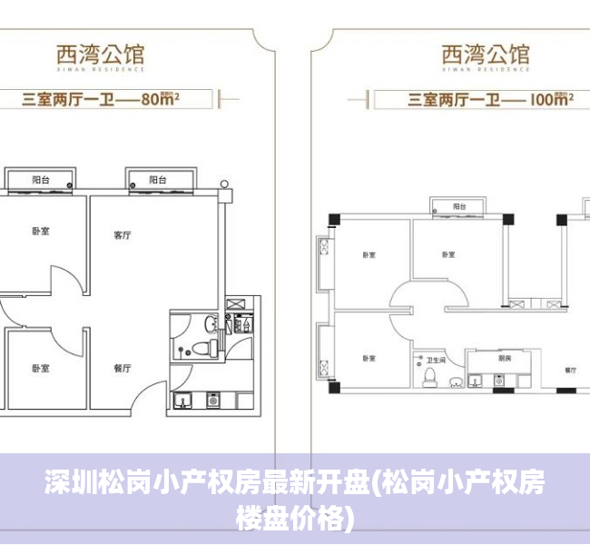 深圳松岗小产权房最新开盘(松岗小产权房楼盘价格)