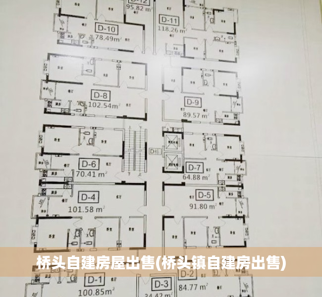 桥头自建房屋出售(桥头镇自建房出售)