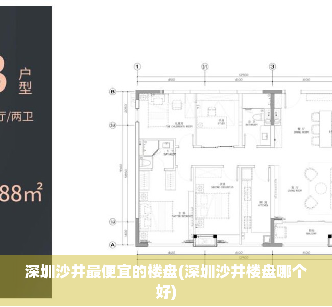 深圳沙井最便宜的楼盘(深圳沙井楼盘哪个好)