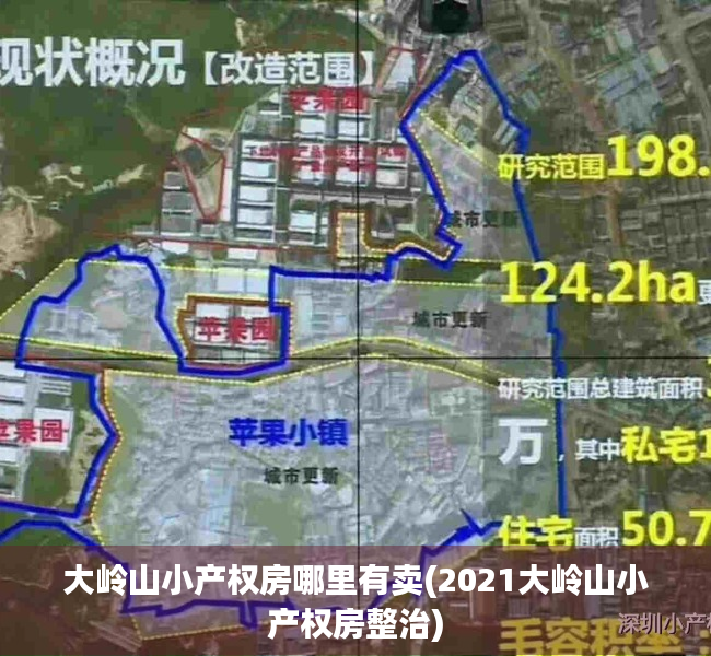 大岭山小产权房哪里有卖(2021大岭山小产权房整治)