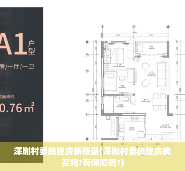 深圳村委统建房新楼盘(深圳村委统建房能买吗?有保障吗?)