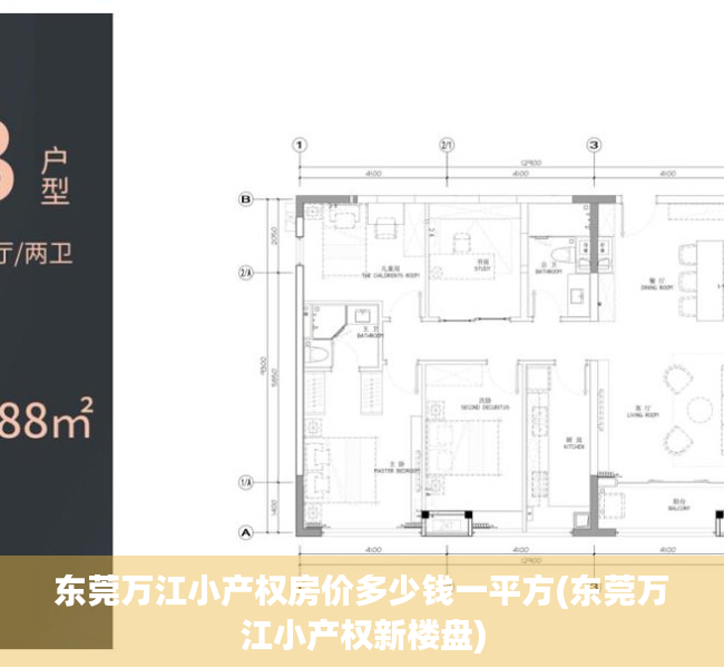 东莞万江小产权房价多少钱一平方(东莞万江小产权新楼盘)