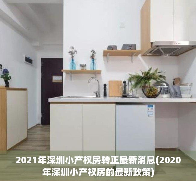 2021年深圳小产权房转正最新消息(2020年深圳小产权房的最新政策)