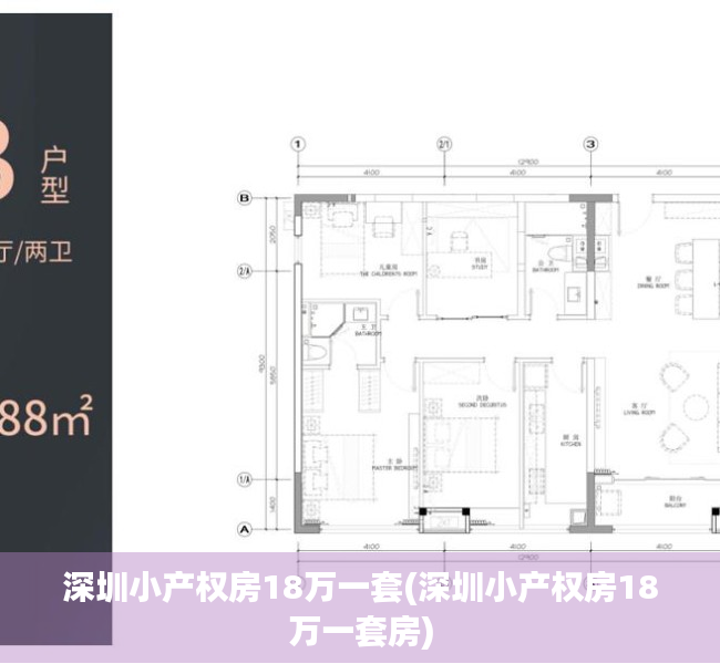 深圳小产权房18万一套(深圳小产权房18万一套房)