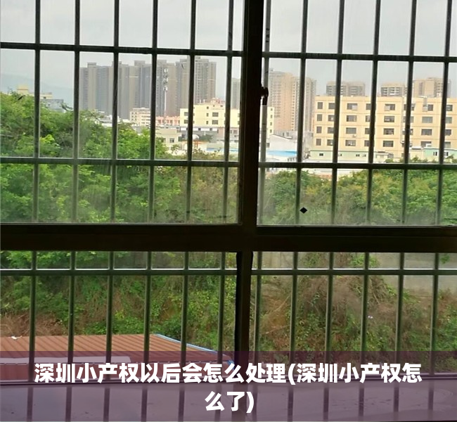 深圳小产权以后会怎么处理(深圳小产权怎么了)