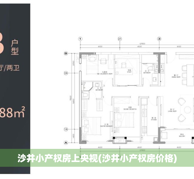 沙井小产权房上央视(沙井小产权房价格)