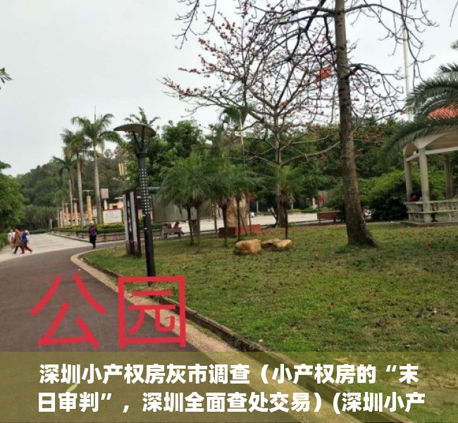 深圳小产权房灰市调查（小产权房的“末日审判”，深圳全面查处交易）(深圳小产权房未来如何处置)