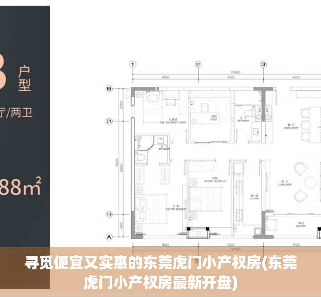 寻觅便宜又实惠的东莞虎门小产权房(东莞虎门小产权房最新开盘)