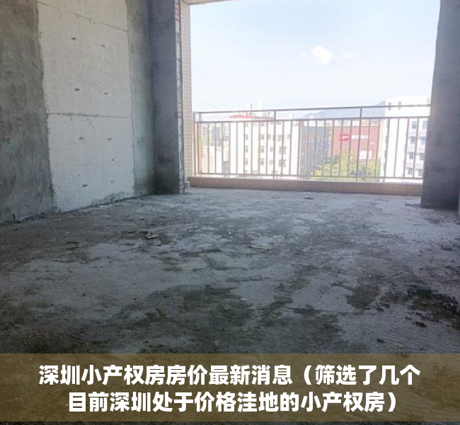 深圳小产权房房价最新消息（筛选了几个目前深圳处于价格洼地的小产权房）