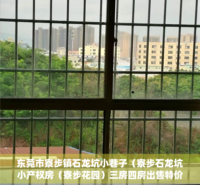 东莞市寮步镇石龙坑小巷子（寮步石龙坑小产权房（寮步花园）三房四房出售特价4688元起 首付4成分期5年）