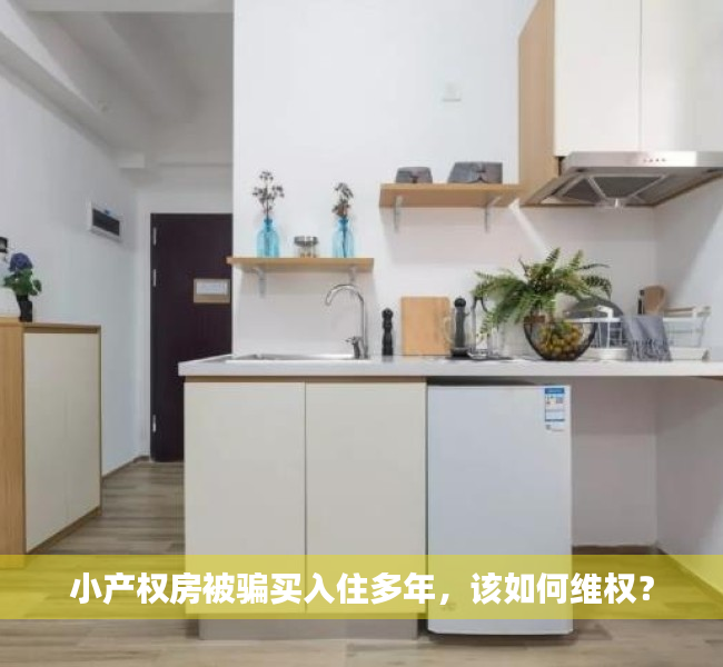 小产权房被骗买入住多年，该如何维权？