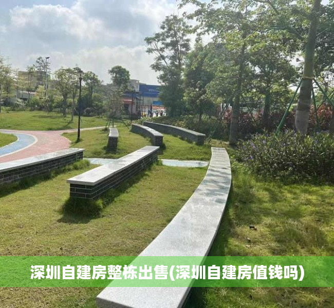 深圳自建房整栋出售(深圳自建房值钱吗)