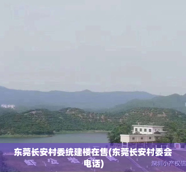 东莞长安村委统建楼在售(东莞长安村委会电话)