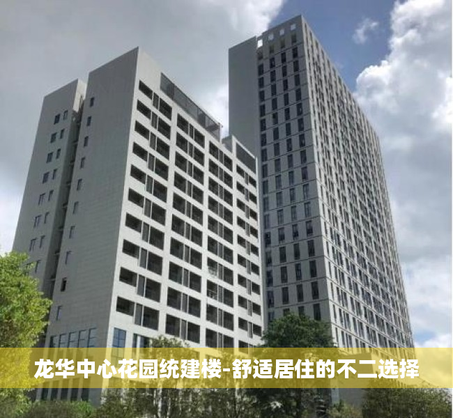 龙华中心花园统建楼-舒适居住的不二选择