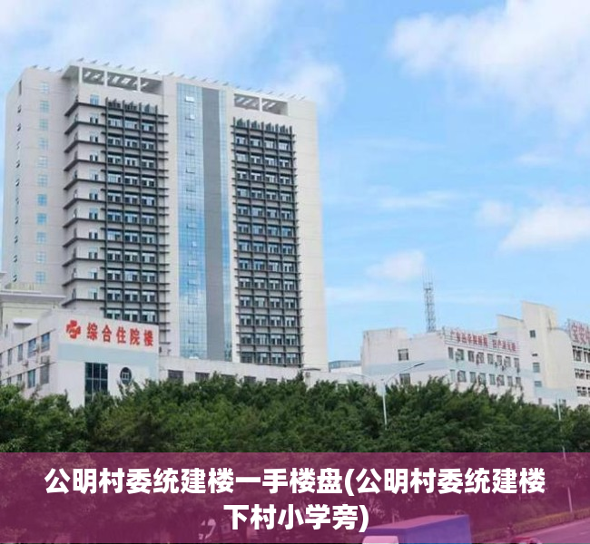 公明村委统建楼一手楼盘(公明村委统建楼下村小学旁)