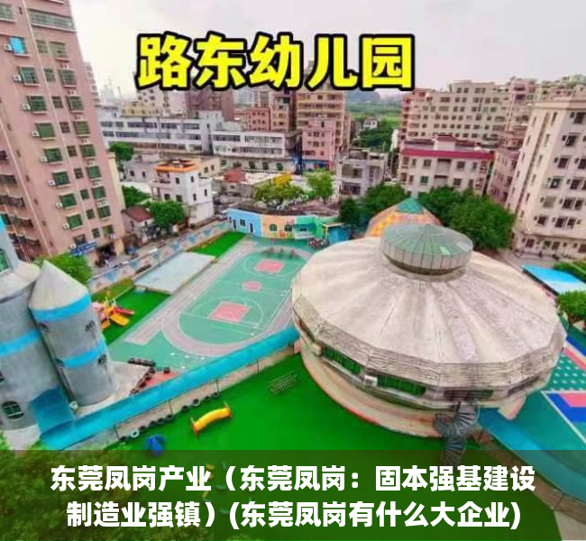 东莞凤岗产业（东莞凤岗：固本强基建设制造业强镇）(东莞凤岗有什么大企业)