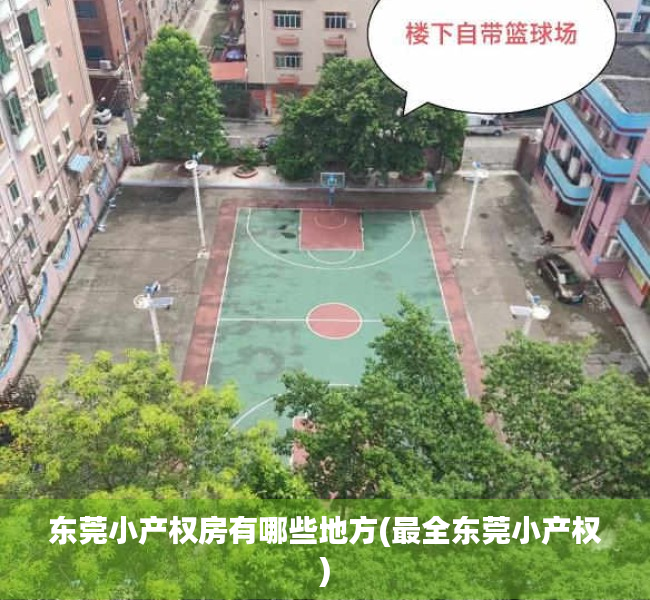 东莞小产权房有哪些地方(最全东莞小产权)