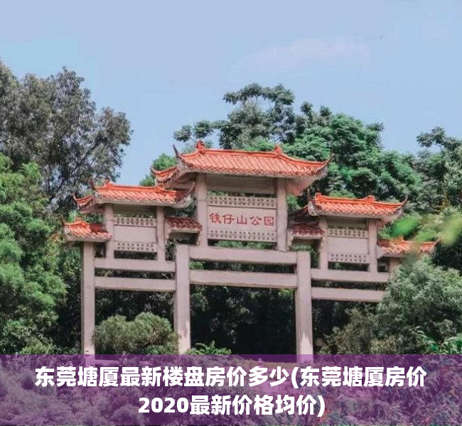 东莞塘厦最新楼盘房价多少(东莞塘厦房价2020最新价格均价)