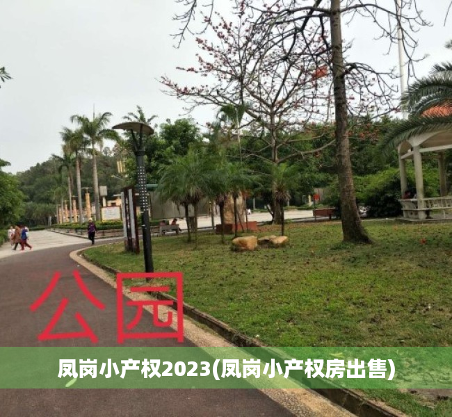 凤岗小产权2023(凤岗小产权房出售)