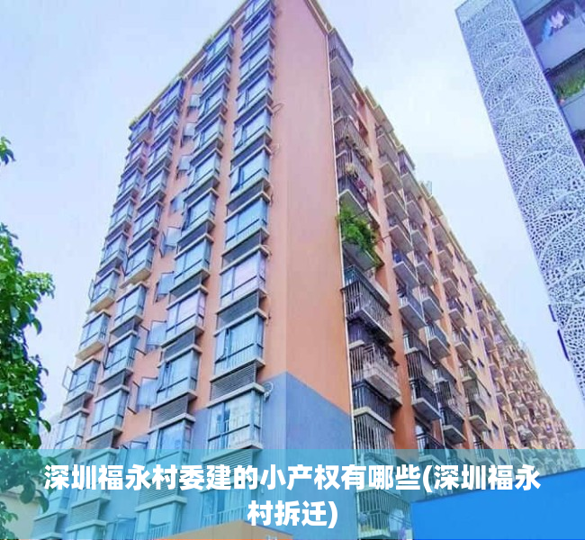 深圳福永村委建的小产权有哪些(深圳福永村拆迁)