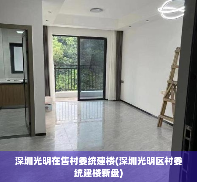 深圳光明在售村委统建楼(深圳光明区村委统建楼新盘)