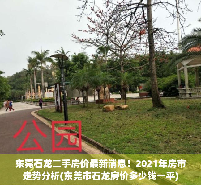 东莞石龙二手房价最新消息！2021年房市走势分析(东莞市石龙房价多少钱一平)