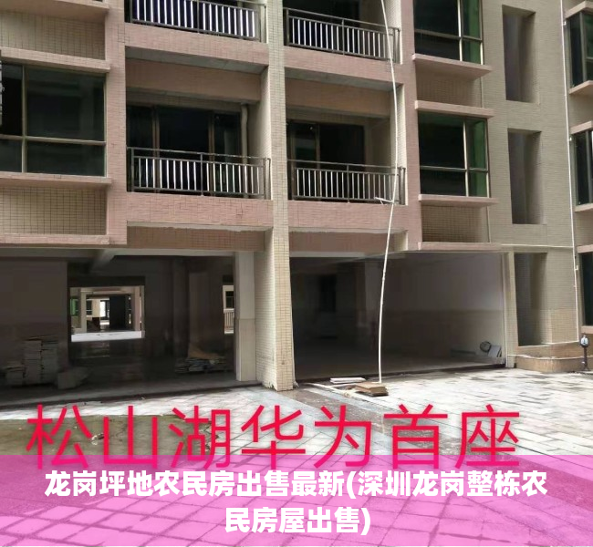 龙岗坪地农民房出售最新(深圳龙岗整栋农民房屋出售)