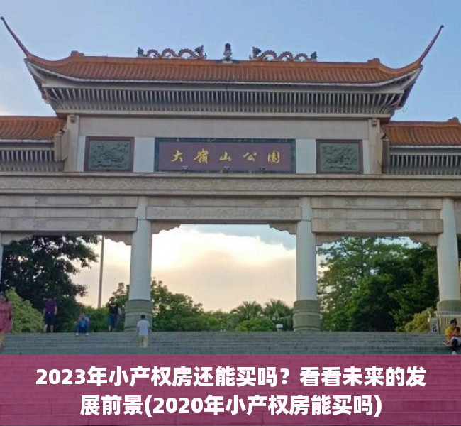 2023年小产权房还能买吗？看看未来的发展前景(2020年小产权房能买吗)