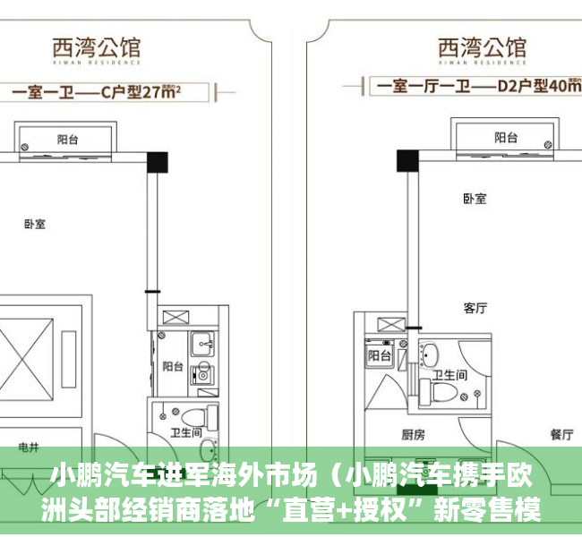 小鹏汽车进军海外市场（小鹏汽车携手欧洲头部经销商落地“直营+授权”新零售模式）