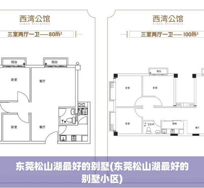 东莞松山湖最好的别墅(东莞松山湖最好的别墅小区)