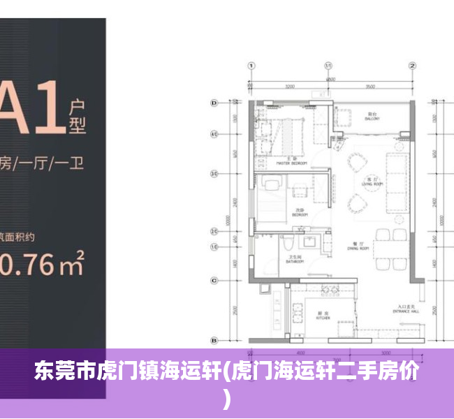 东莞市虎门镇海运轩(虎门海运轩二手房价)