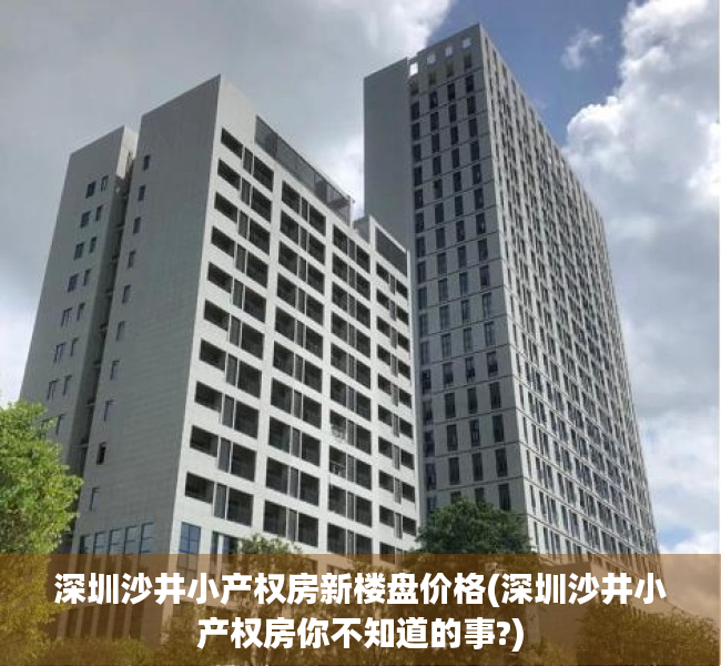 深圳沙井小产权房新楼盘价格(深圳沙井小产权房你不知道的事?)