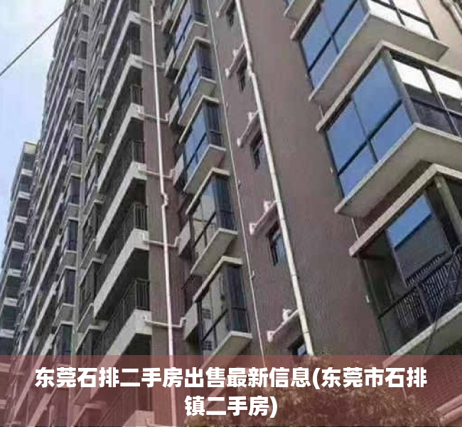 东莞石排二手房出售最新信息(东莞市石排镇二手房)