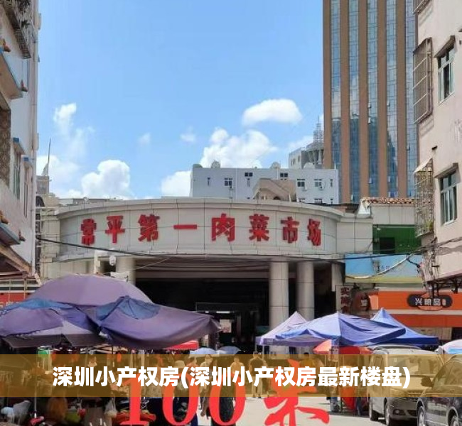 深圳小产权房(深圳小产权房最新楼盘)